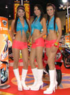 Sexy trio of Tiger girls