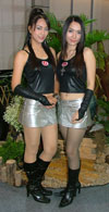 Hottie car show girls
